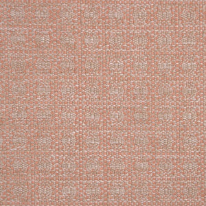 Escapade - Peach Pink / pink