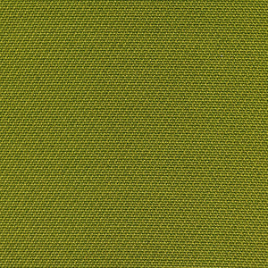 2011-101 / green
