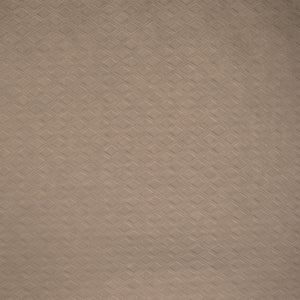 8490-021 / beige