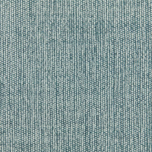 Ash - 81 / blue