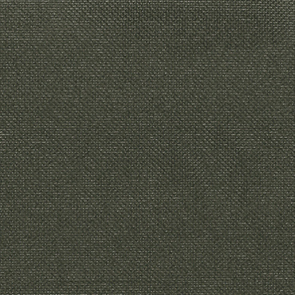 ABSORBER GLOW (SHEER)