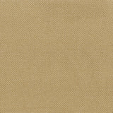 ABSORBER GLOW (SHEER)