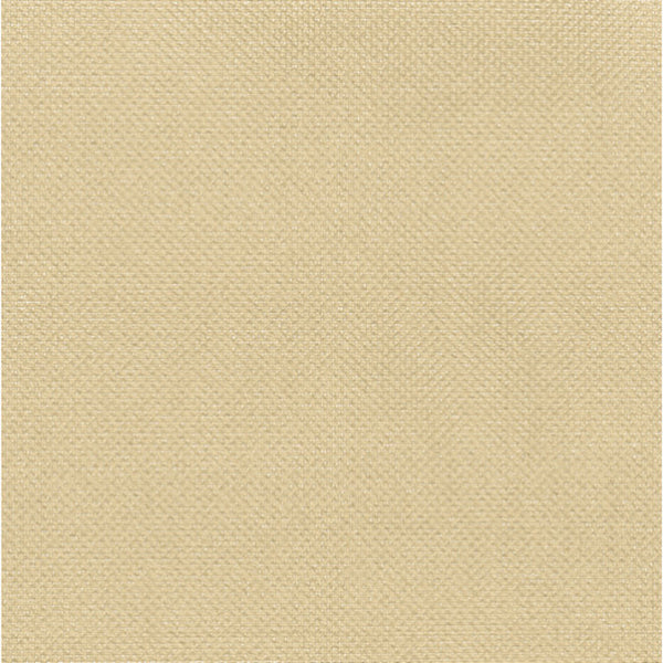 ABSORBER GLOW (SHEER)