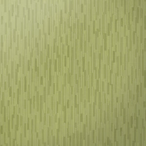LV-AS-10 / green