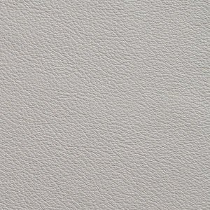 Avion - Albatross / Gray