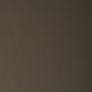 Avion - Bungee Cord / Brown