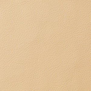 Avion - Champagne / Beige