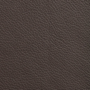 Avion - Coffee Bean / Brown