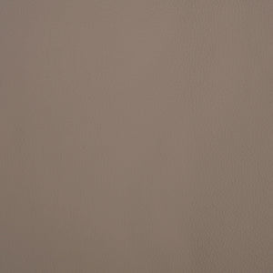 Avion - London Fog / Gray