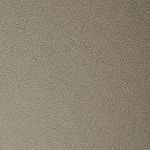 Avion - Smoke Gray / Gray