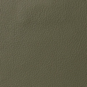 Avion - Spruce / Green