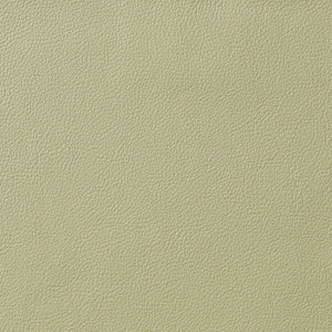 Berkshire - Celery / Green