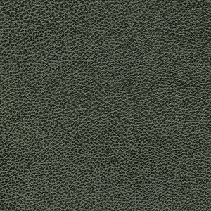 Biltmore - Grey / gray
