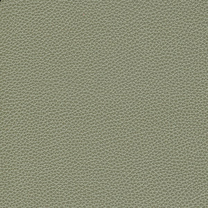 Biltmore - Sierra / gray