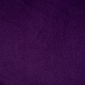 Cairo - Aster / purple