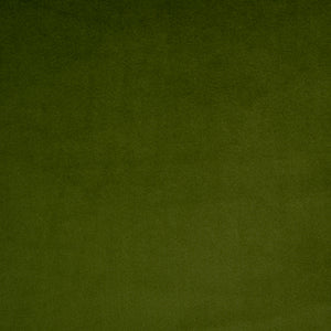 Cairo - Sprig / green