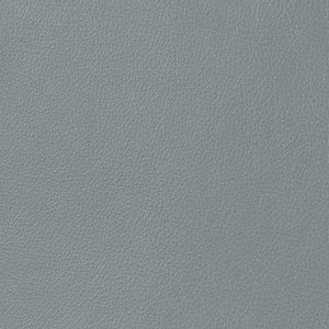 Caressa - Cool Gray / Gray