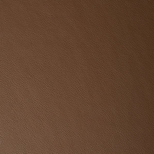 Caressa - Dachshund / Brown