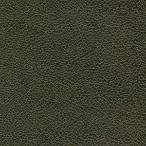 Charleston - Carbon / gray