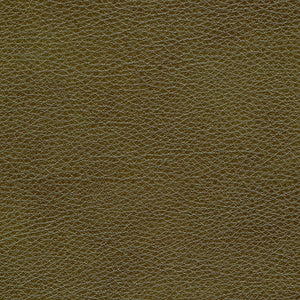 Charleston - Moss / green