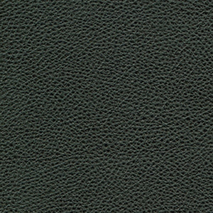 Charleston - Onyx / black