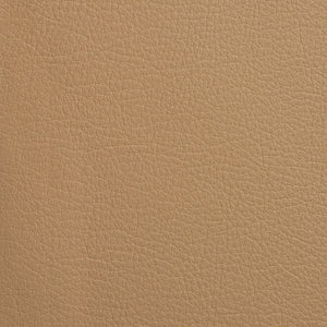Chatham - Beige / Beige
