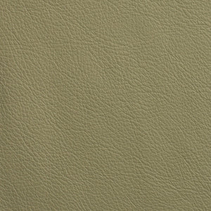 Chatham - Gray Sage / Green