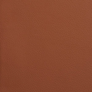 Chatham - Hazelnut / Brown