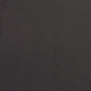 Chatham - Indian Plum / Purple