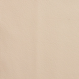 Chatham - Ivory / Beige
