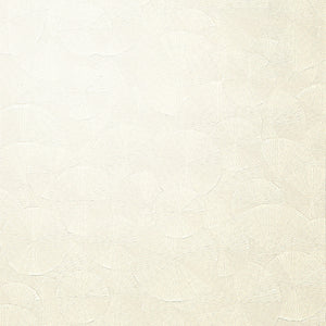 LV-CL-06 / white