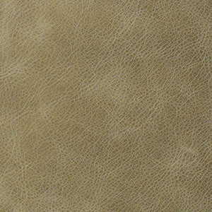 Distressed - Fennel / Green
