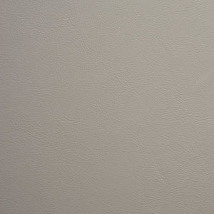 Flight - Gray Owl / Gray