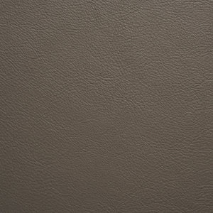 Flight - Swift / Gray
