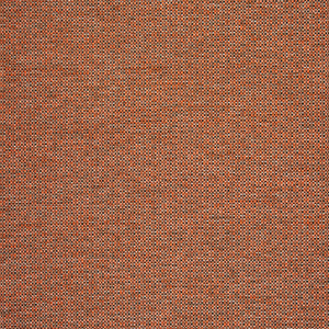 Foreword - Clay / orange