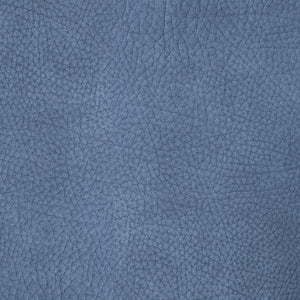 Kenya - Blue Jay / Blue