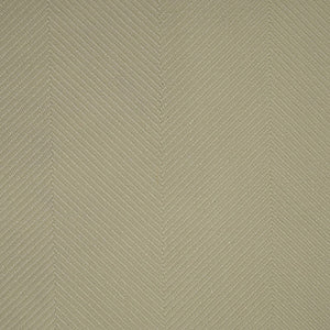 Medusa - 10 / beige