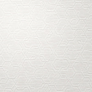 LV-MZ-06 / white