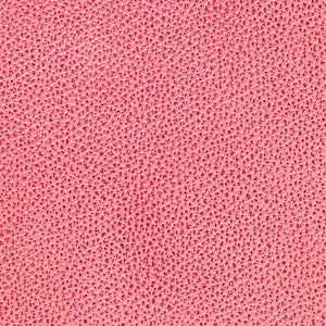 Mystique - Flamingo / Pink