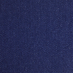 Pinturicchio - 100 / blue