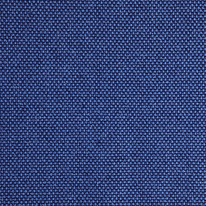 Pinturicchio - 101 / blue