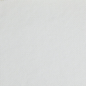 Pinturicchio - 10 / white