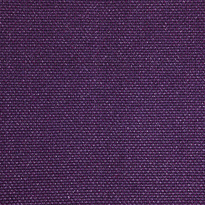 Pinturicchio - 150 / purple