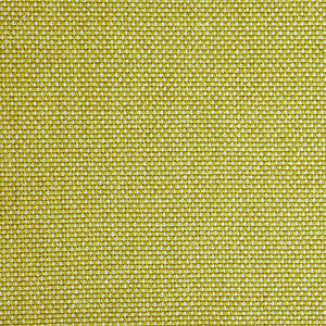 Pinturicchio - 180 / yellow
