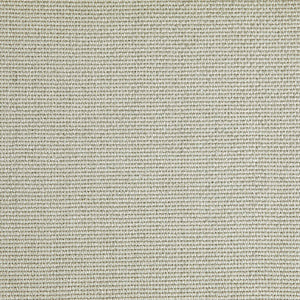Pinturicchio - 20 / beige