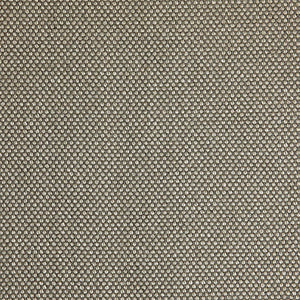 Pinturicchio - 40 / beige
