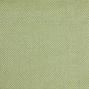 Pinturicchio - 70 / green