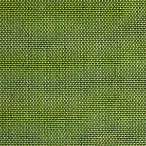 Pinturicchio - 71 / green