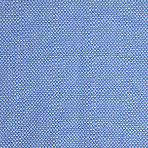Pinturicchio - 90 / blue
