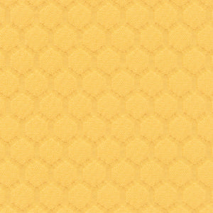 Polka - Wattle / yellow